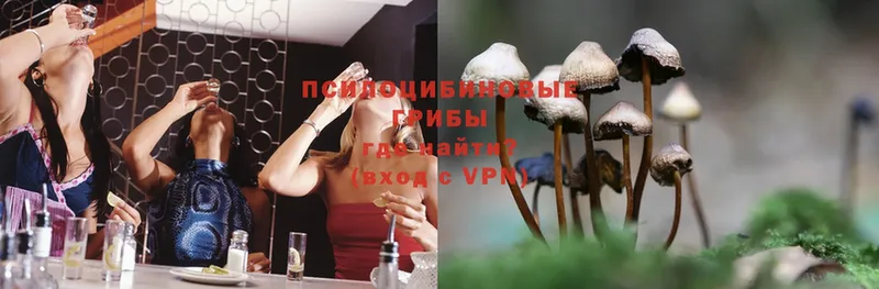 ссылка на мегу рабочий сайт  Гусиноозёрск  Псилоцибиновые грибы MAGIC MUSHROOMS  купить наркотики цена 